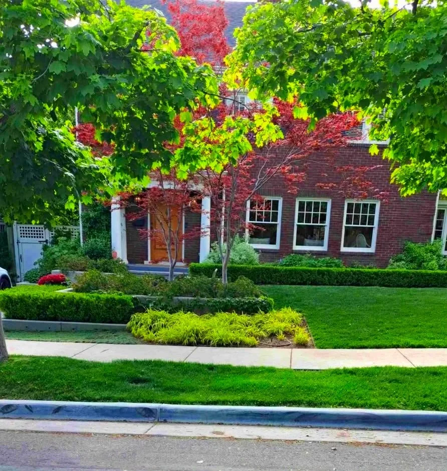 Hedge trimming and straight line shaping service in Salt Lake City, Utah, by L and B Landscaping