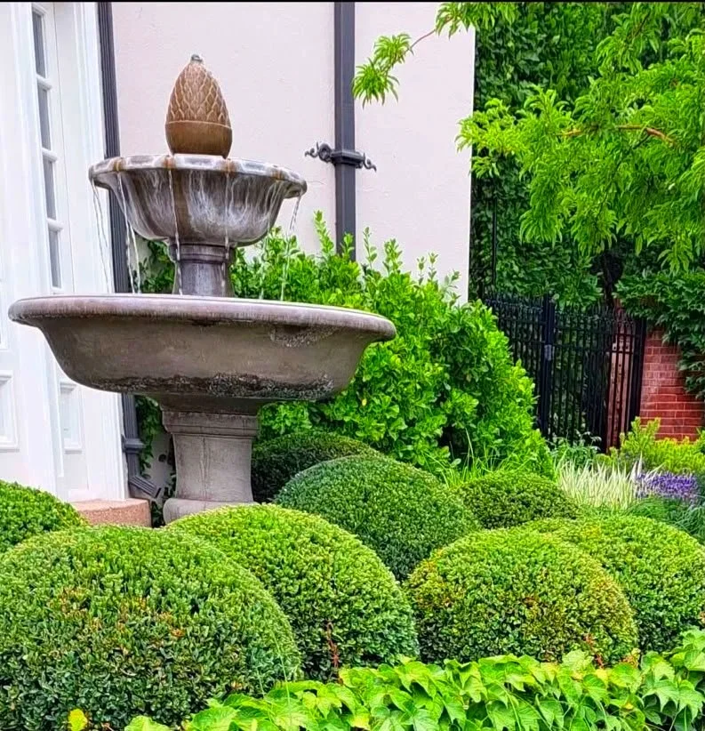 Boxwood hedge trimming and shaping in Salt Lake City, Utah, by L and B Landscaping.