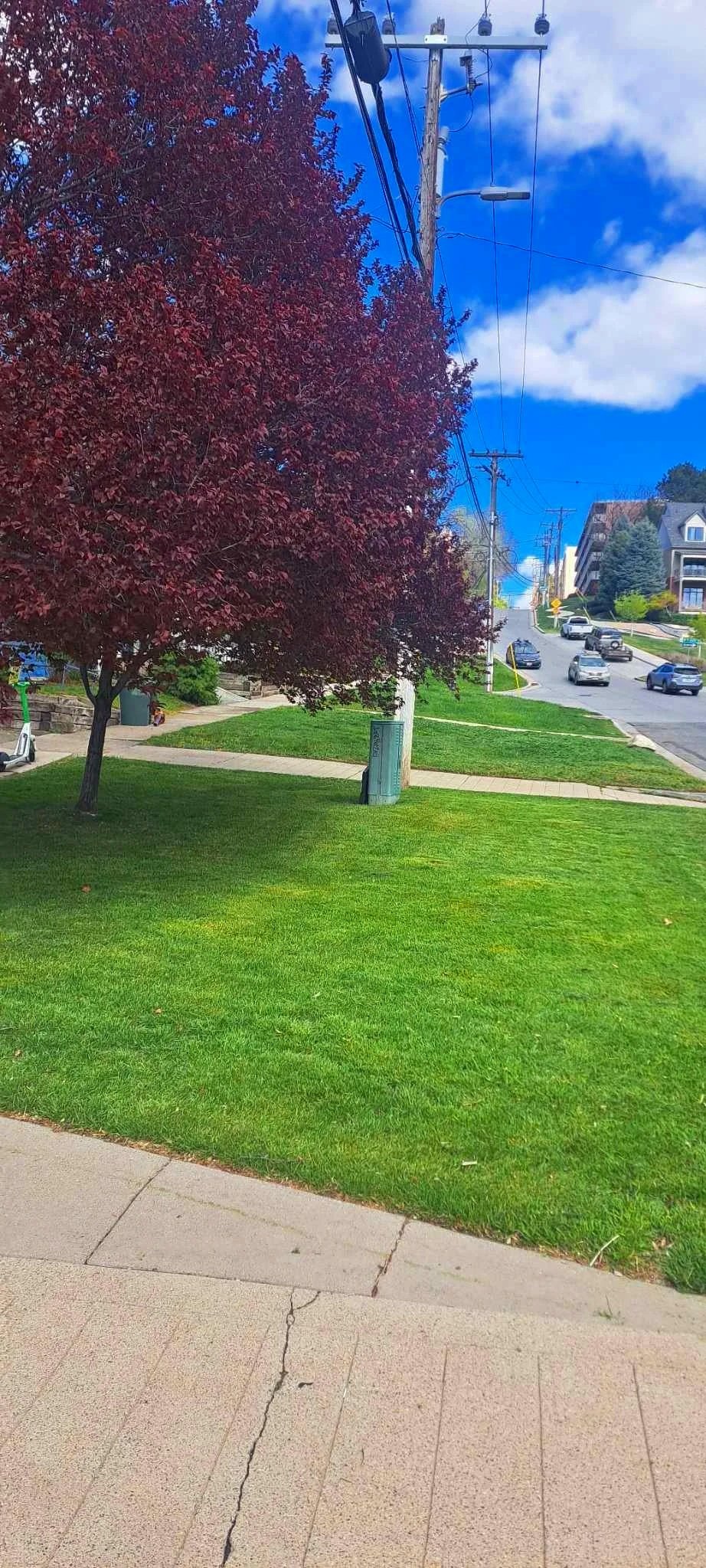Lawn care and mowing service in Salt Lake City, Utah, by L and B Landscaping