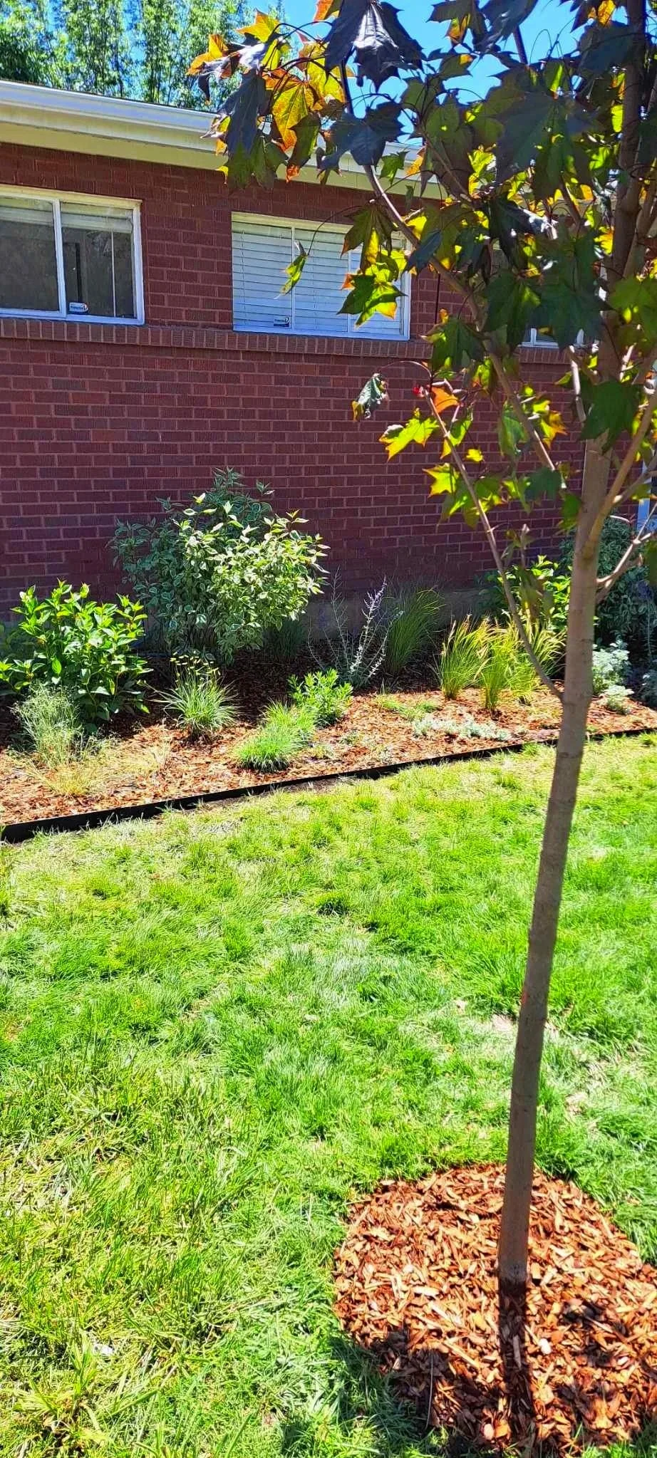 Fall yard cleanup in Salt Lake City, leaf removal and lawn debris hauling by L and B Landscaping.