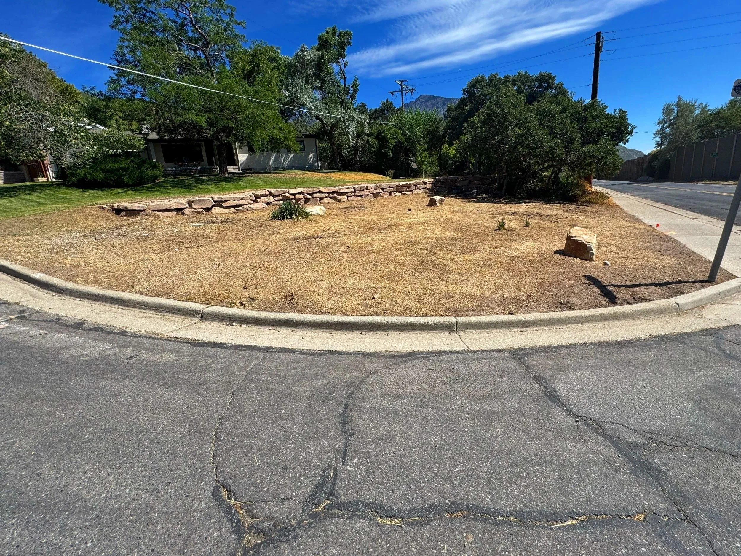 Yard clean up