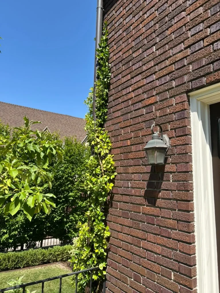 Trellis installation for climbing plants and garden landscaping in Salt Lake City, Utah, by L and B Landscaping