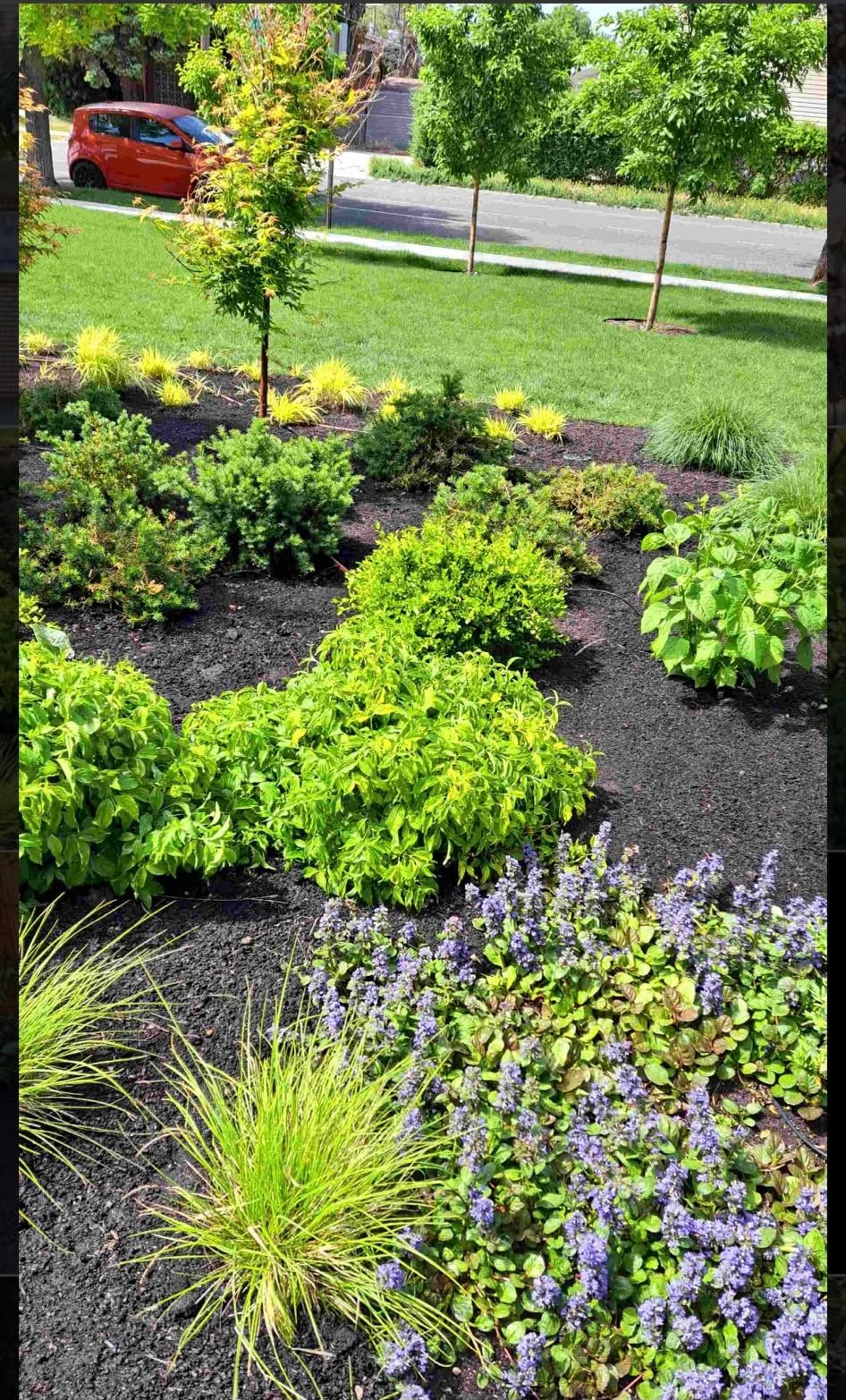 Before and after yard cleanup in Salt Lake City, Utah, by L and B Landscaping, showing leaf removal, edging, and lawn debris cleanup