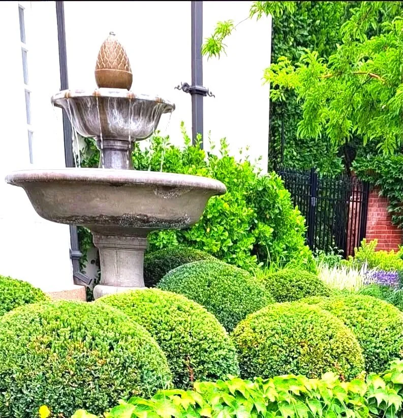 Hedge trimming and shaping service in Salt Lake Valley, by L and B Landscaping