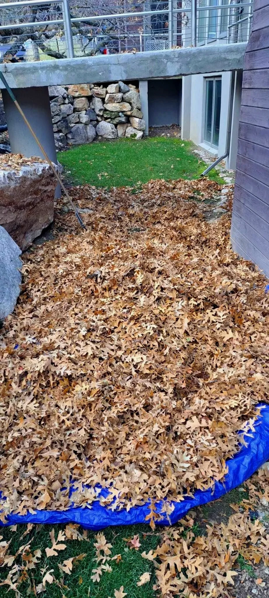 yard clean ups in sugar house area UT by L&B landscaping