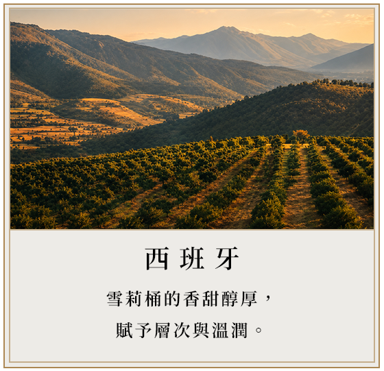 A scenic view  in Spain of a vineyard with rows of grapevines, mountains in the background, and a sunset sky.