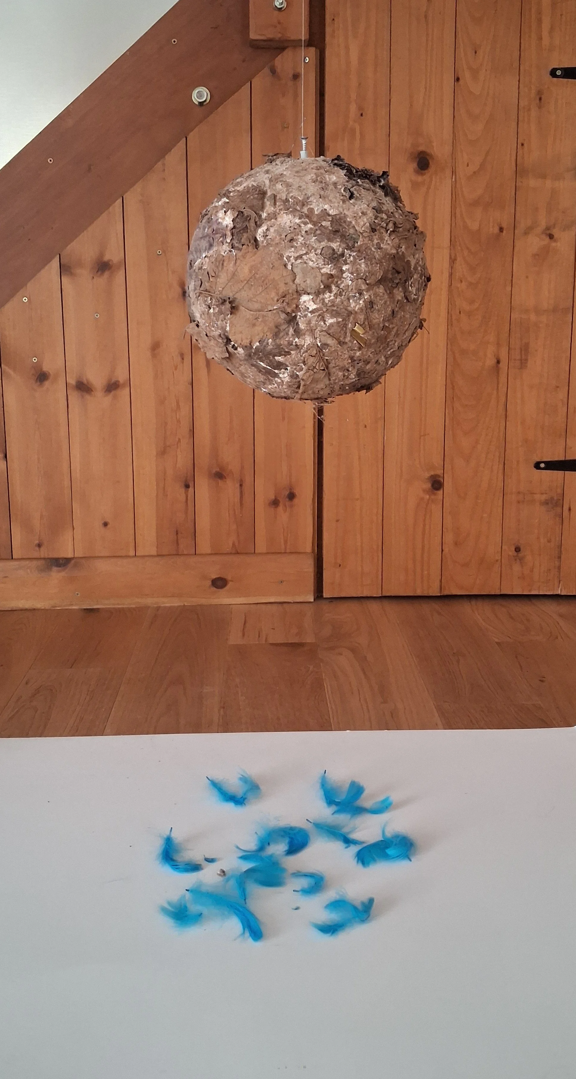 Releasing that which is not working, 2025, clay, soil, vegetation and feathers