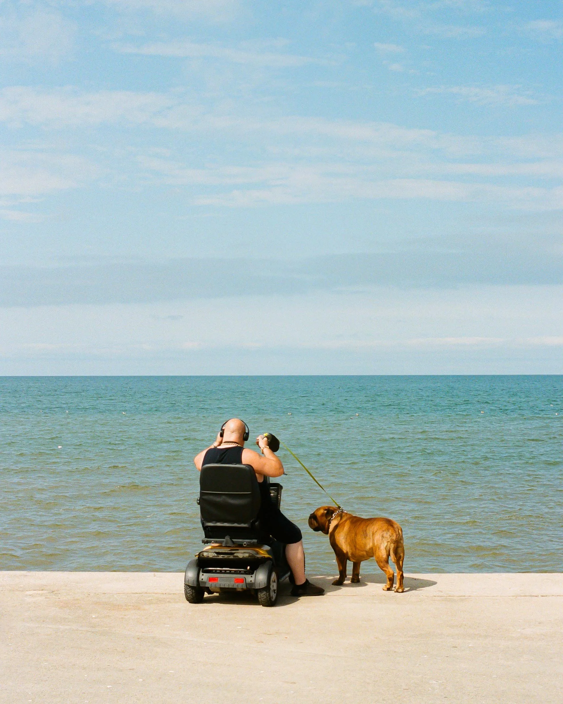 a bulldog and his bulldog.jpg