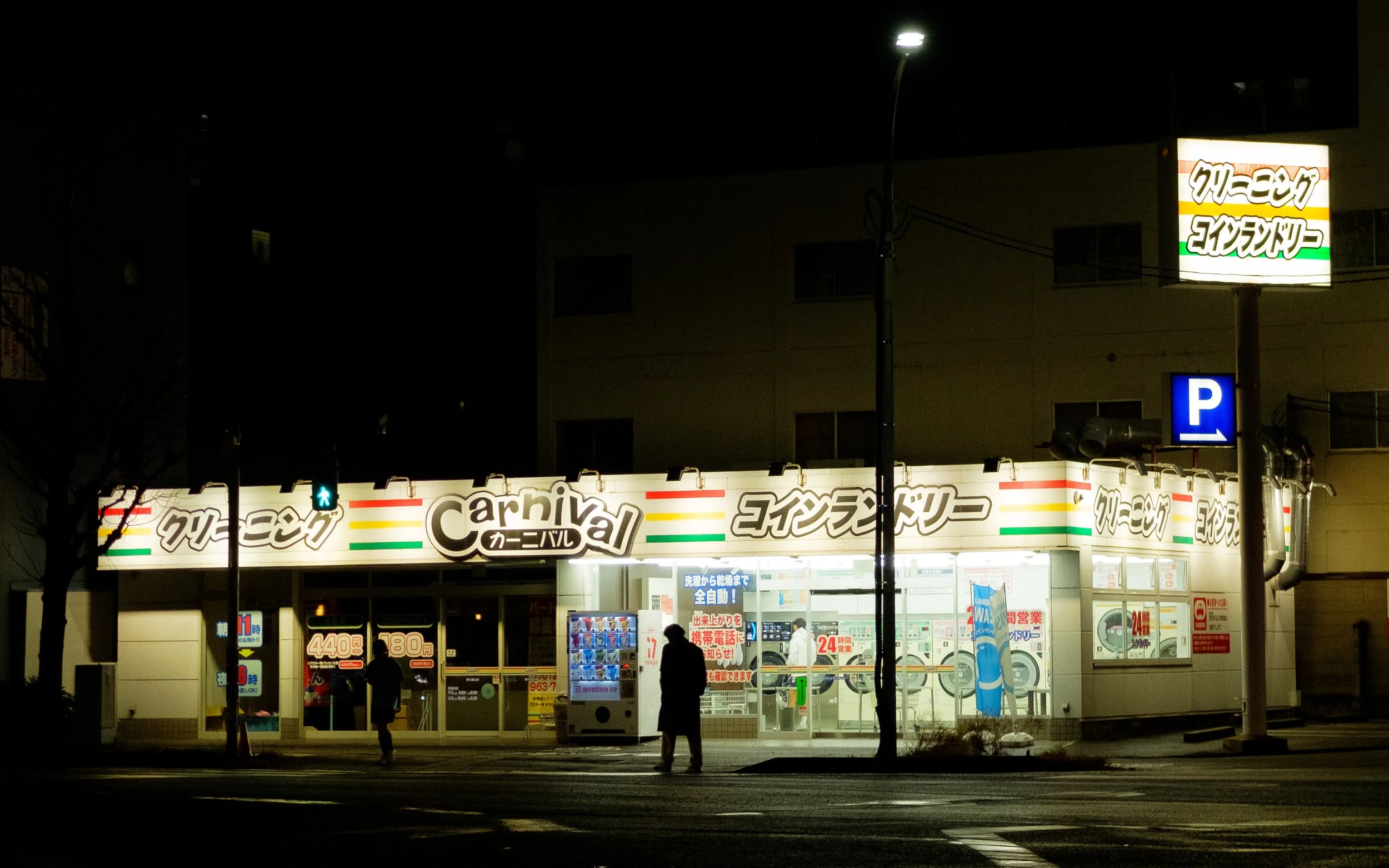 japan nighttime crossing.jpg
