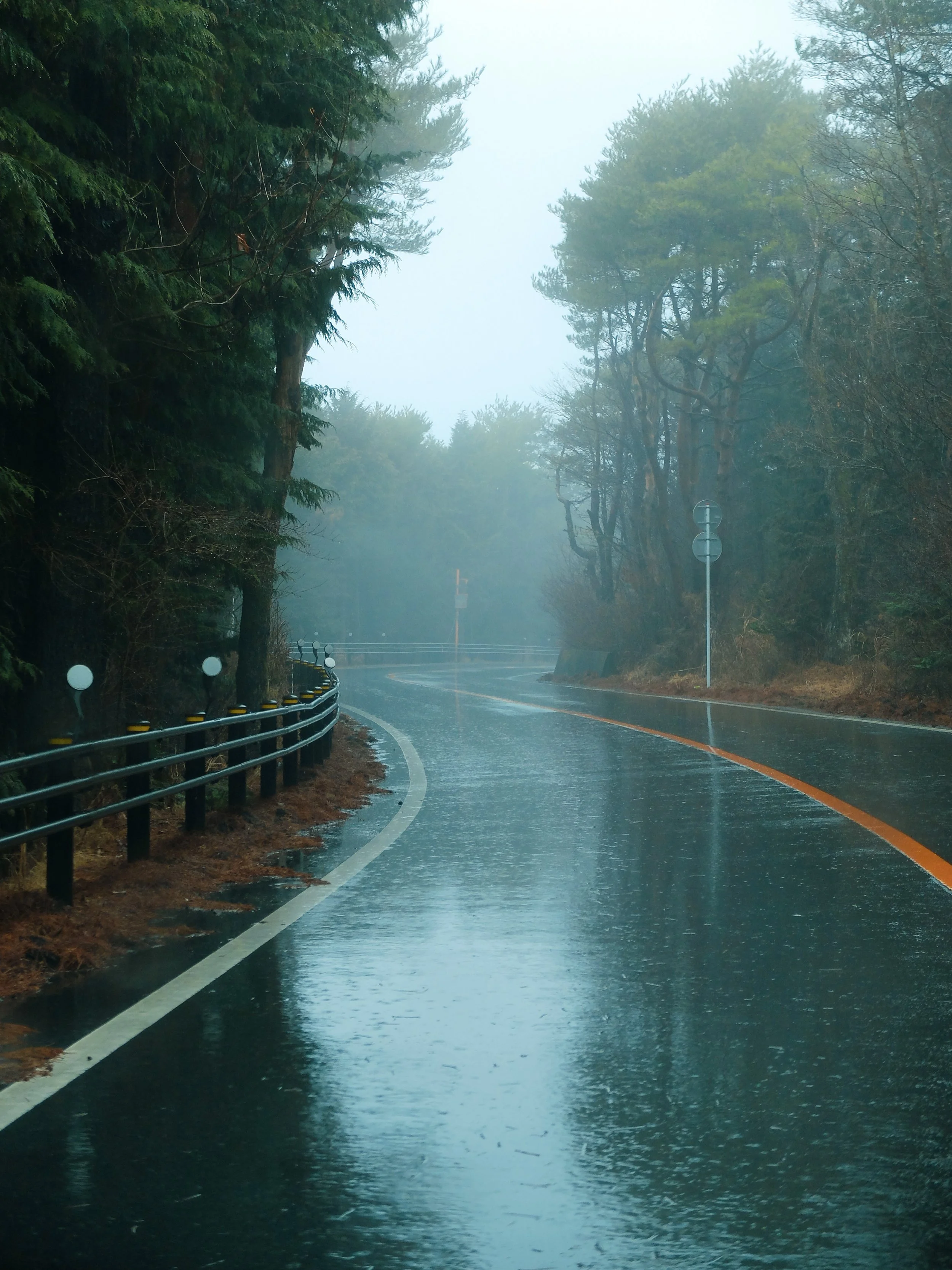 japan windy wet road.jpg