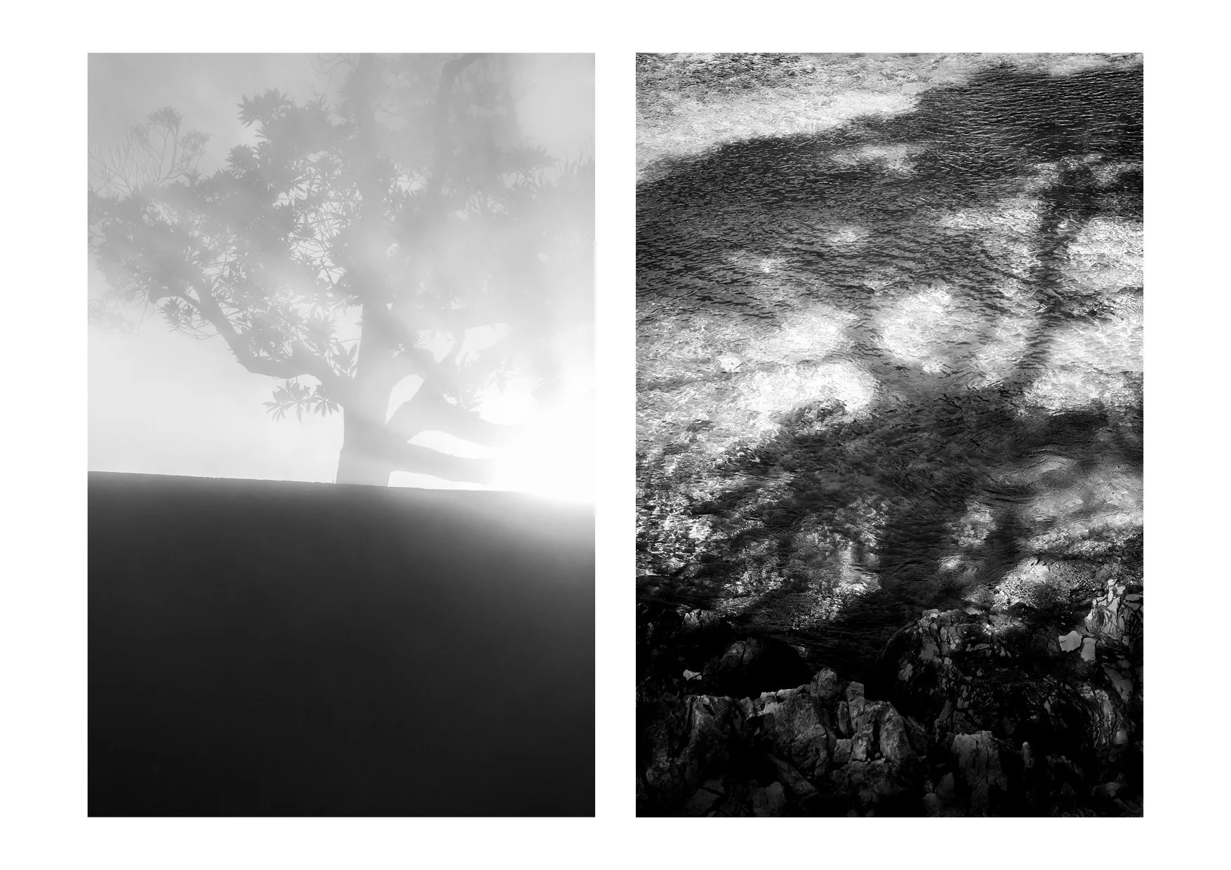 Black and White Fine Art