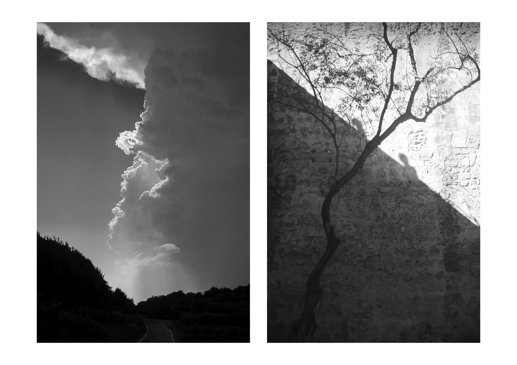 Fine Art Photo