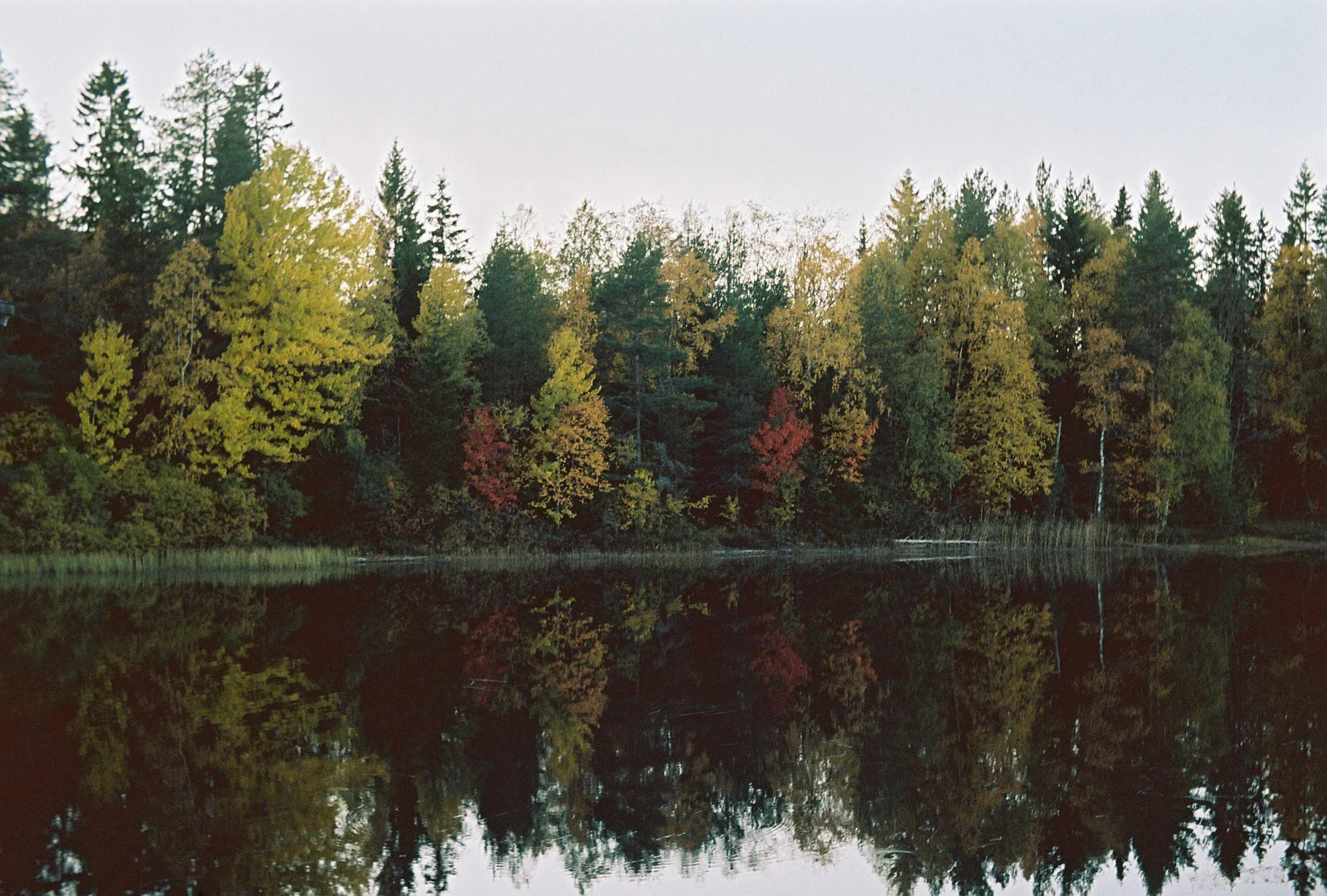 unnamed-3.jpg