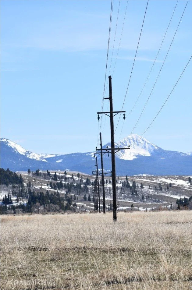 Fieldscape, Wyoming
