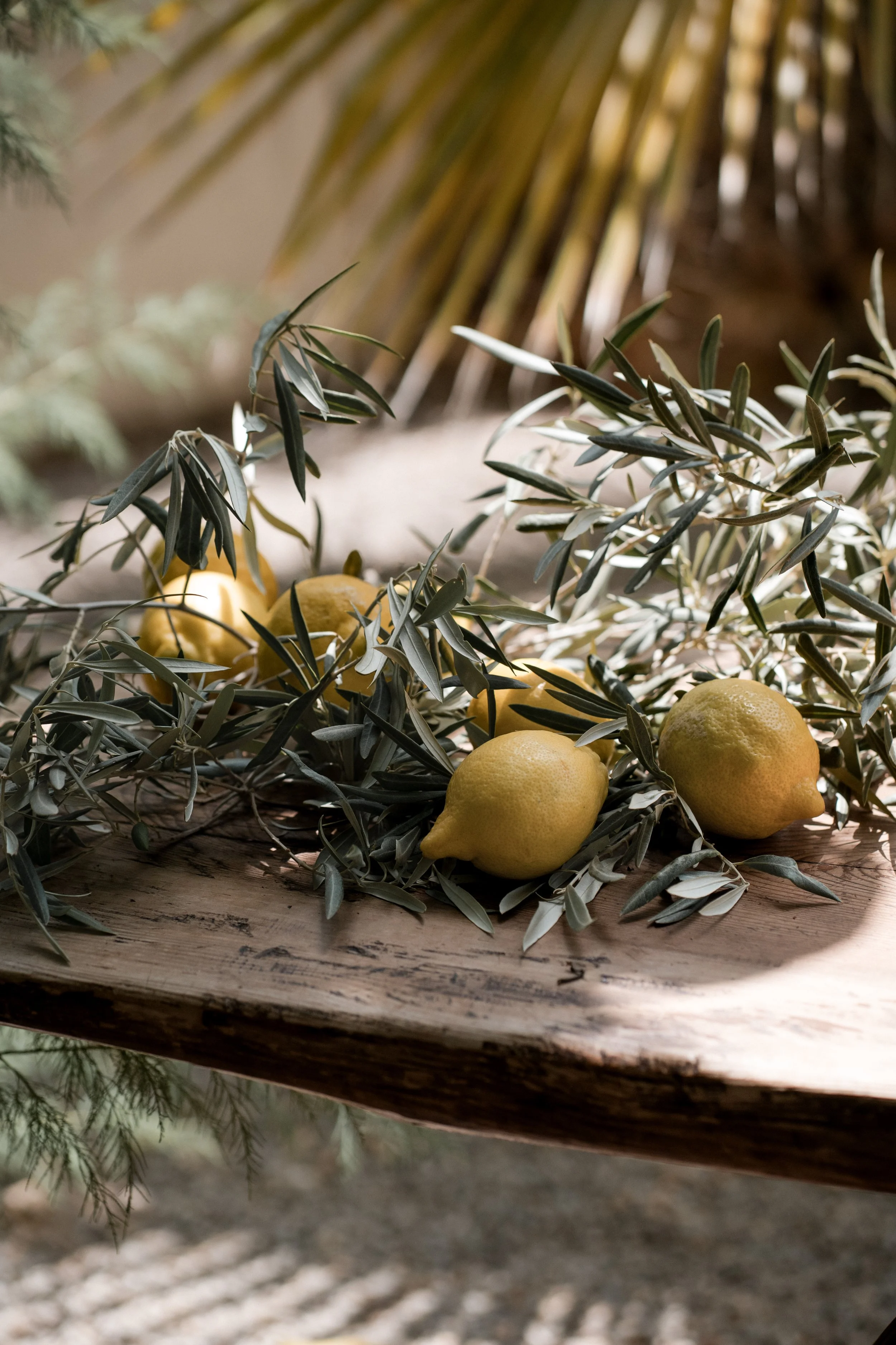 Arranged lemons and olive branches on a rustic wooden surface with a blurred background and a palm leaf.