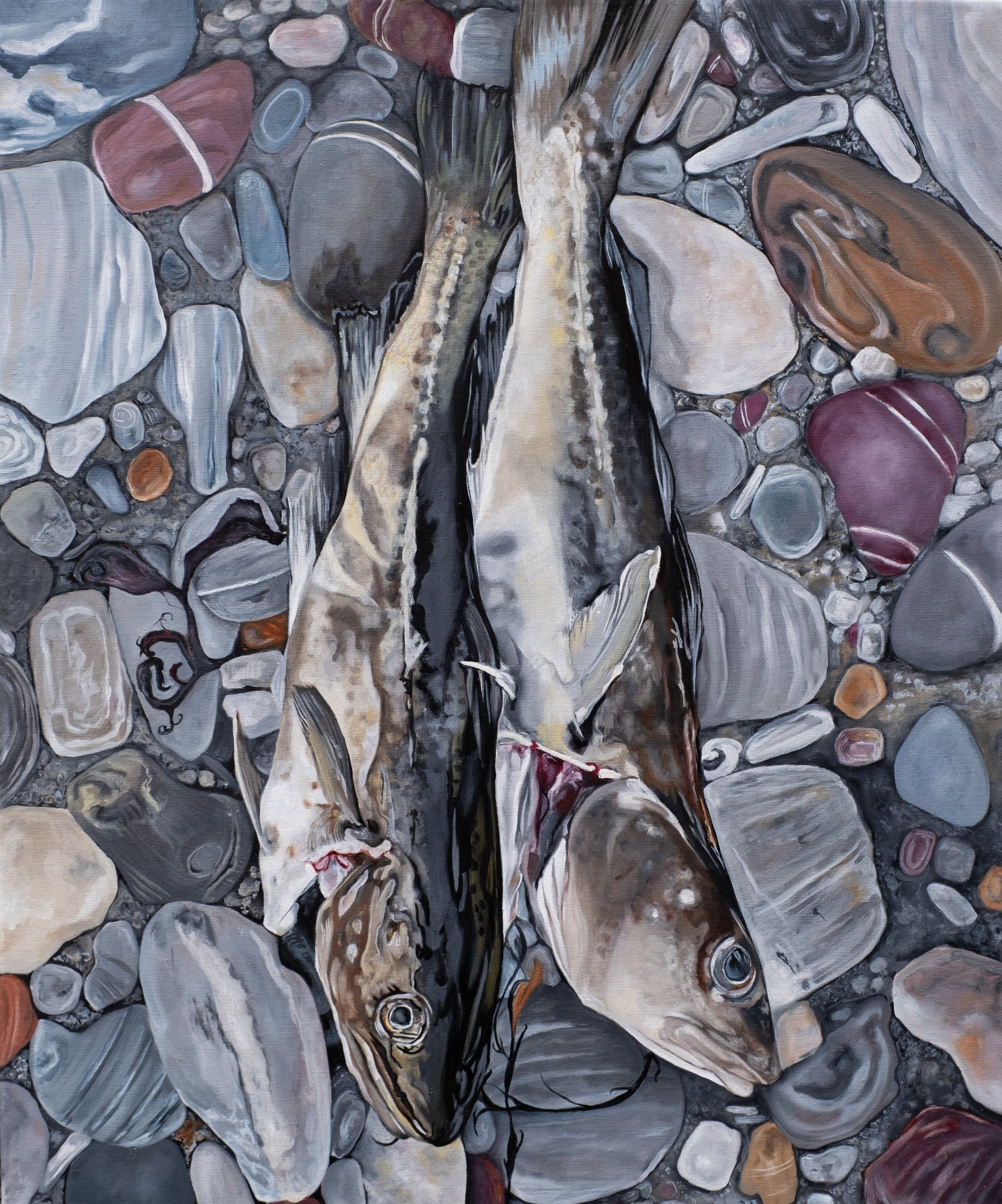 Cod on the rocks