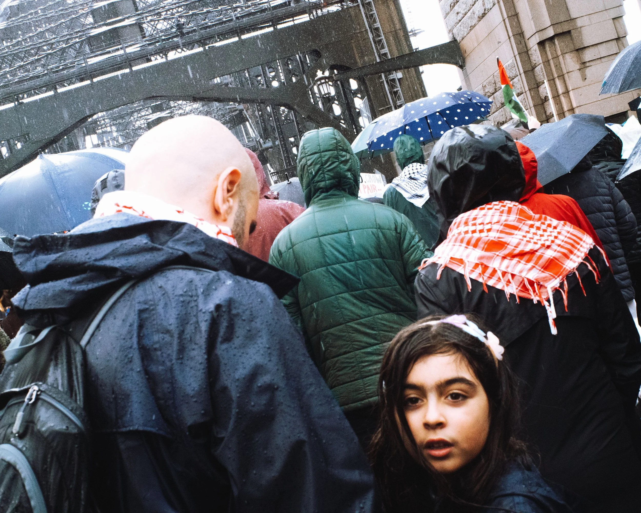 P8031913-2.jpg