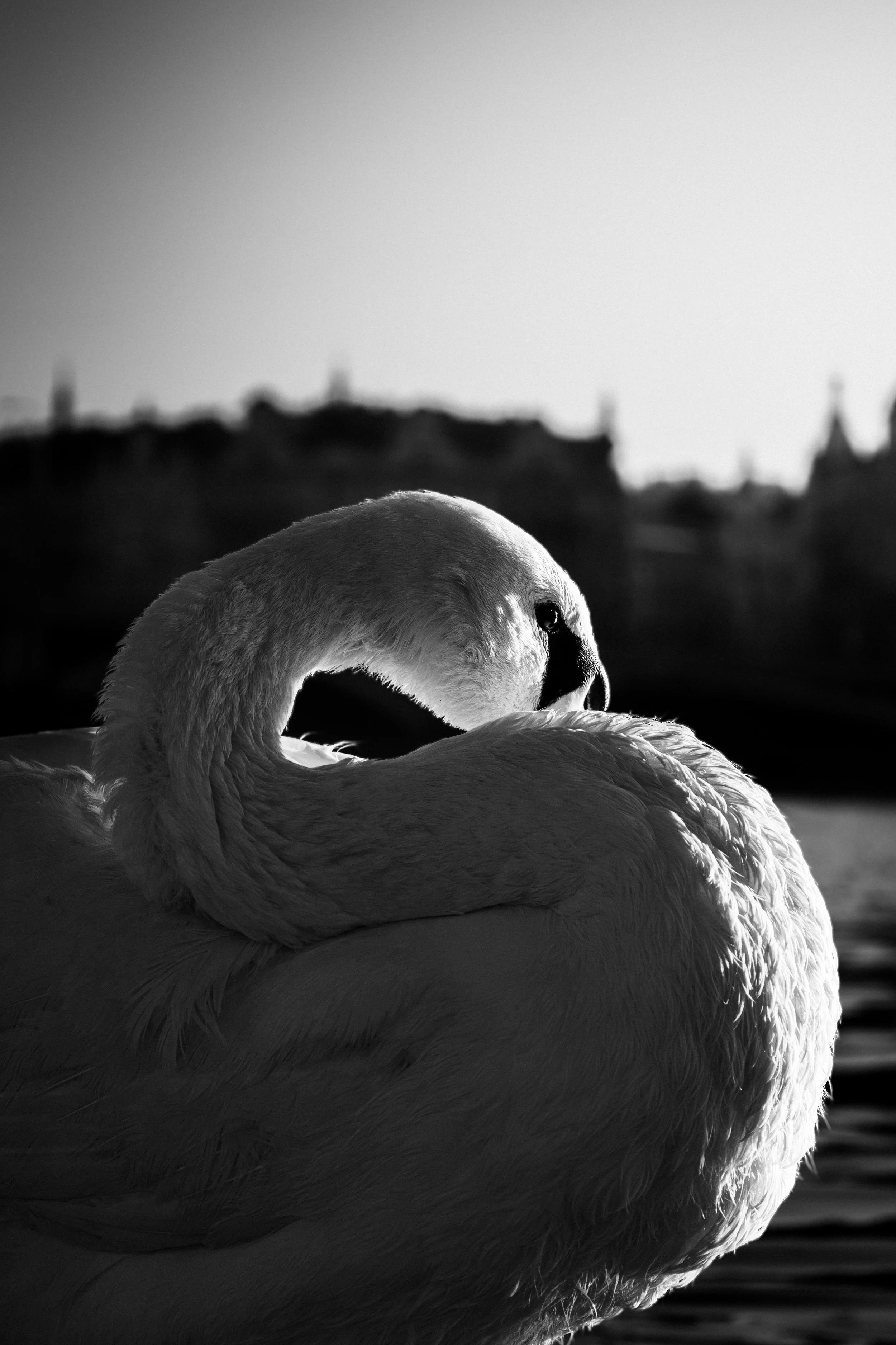 Umělecká fotografie a autorská tvorba – Matěj Liška