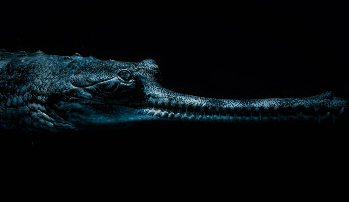 Umělecká fotografie a autorská tvorba – Matěj Liška