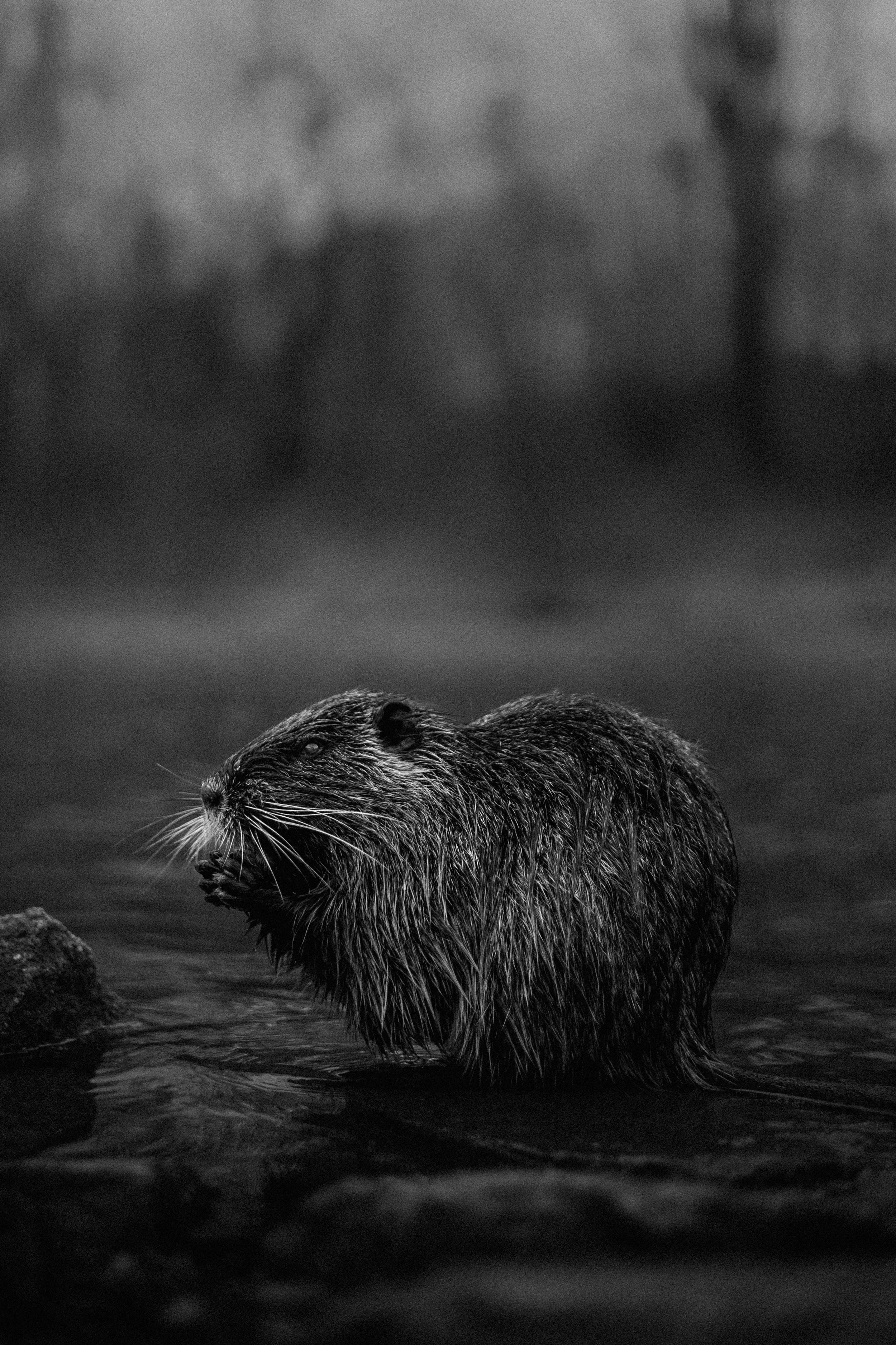 Umělecká fotografie a autorská tvorba – Matěj Liška