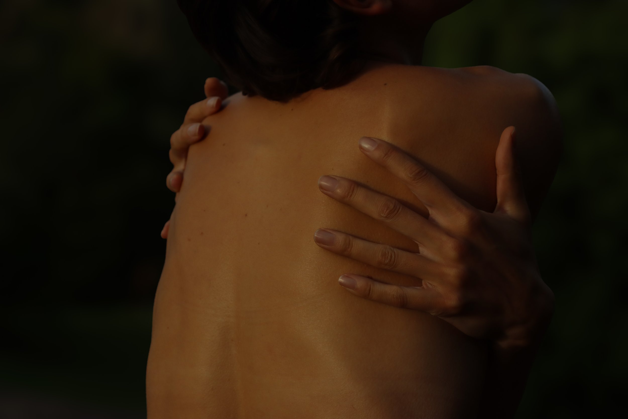 What is somatic therapy?
