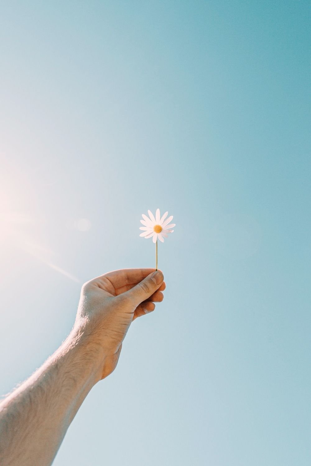 Hand holding a single white daisy against a clear blue sky, symbolizing hope, renewal, and the transformational journey of conscious body recovery and mind body healing.