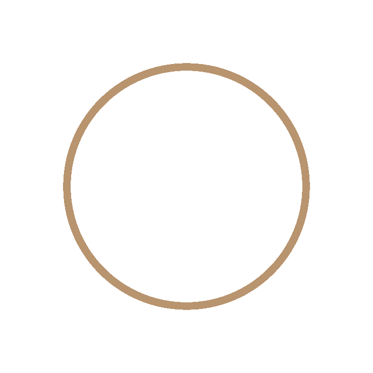 circle icon