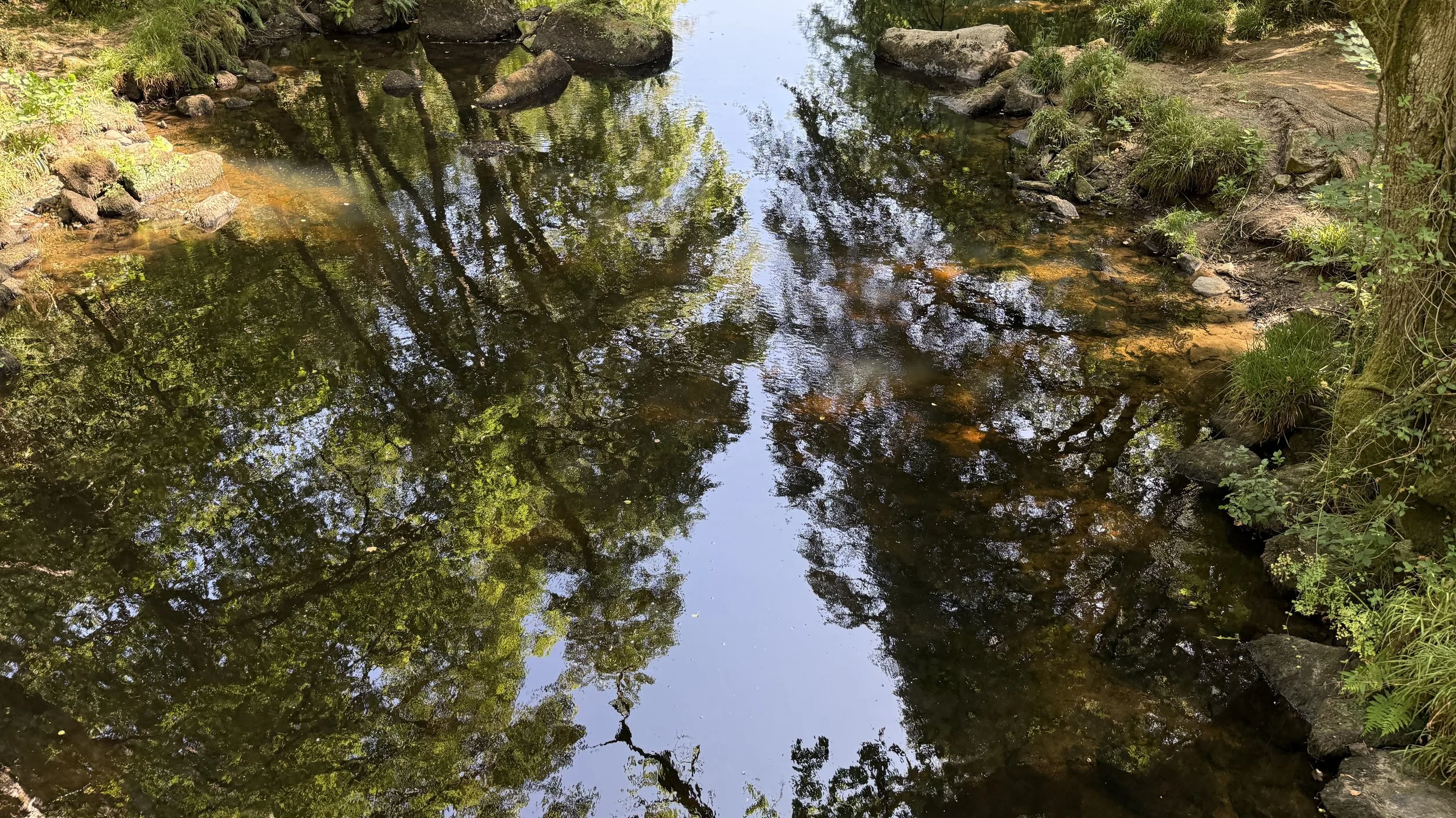 Rebuilding Trust in a Neurodiverse Relationship