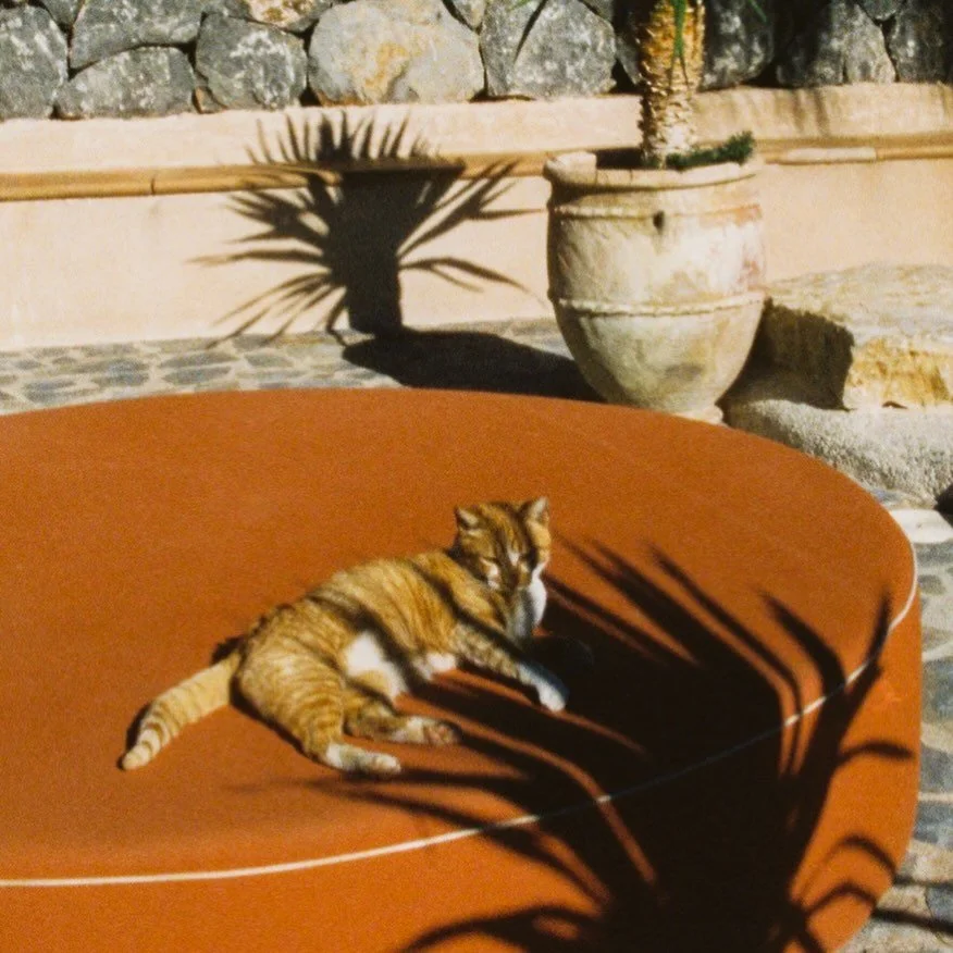 A tabby cat lying on a reddish-brown round outdoor table, with strong shadows of plant leaves cast over it.