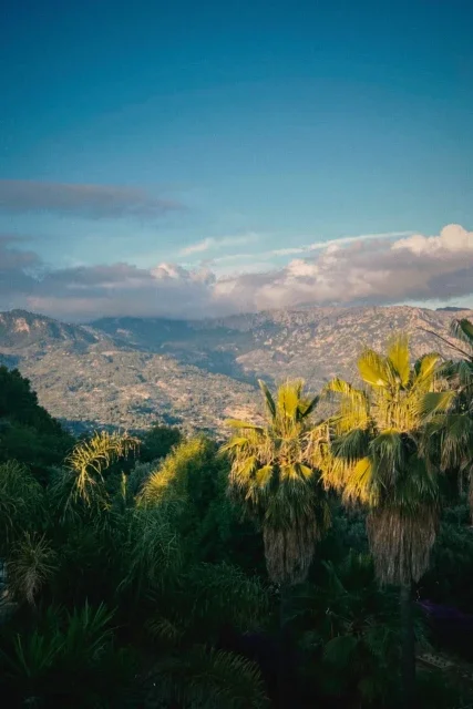 Tropical landscape with palm trees in foreground, mountains and blue sky with clouds in background.