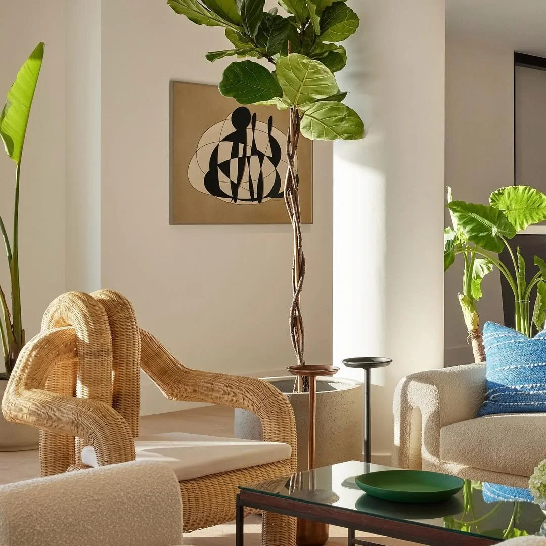 Living room with rattan chair, beige sofa with blue pillow, tall potted plants, abstract artwork on wall, glass coffee table with green bowl.