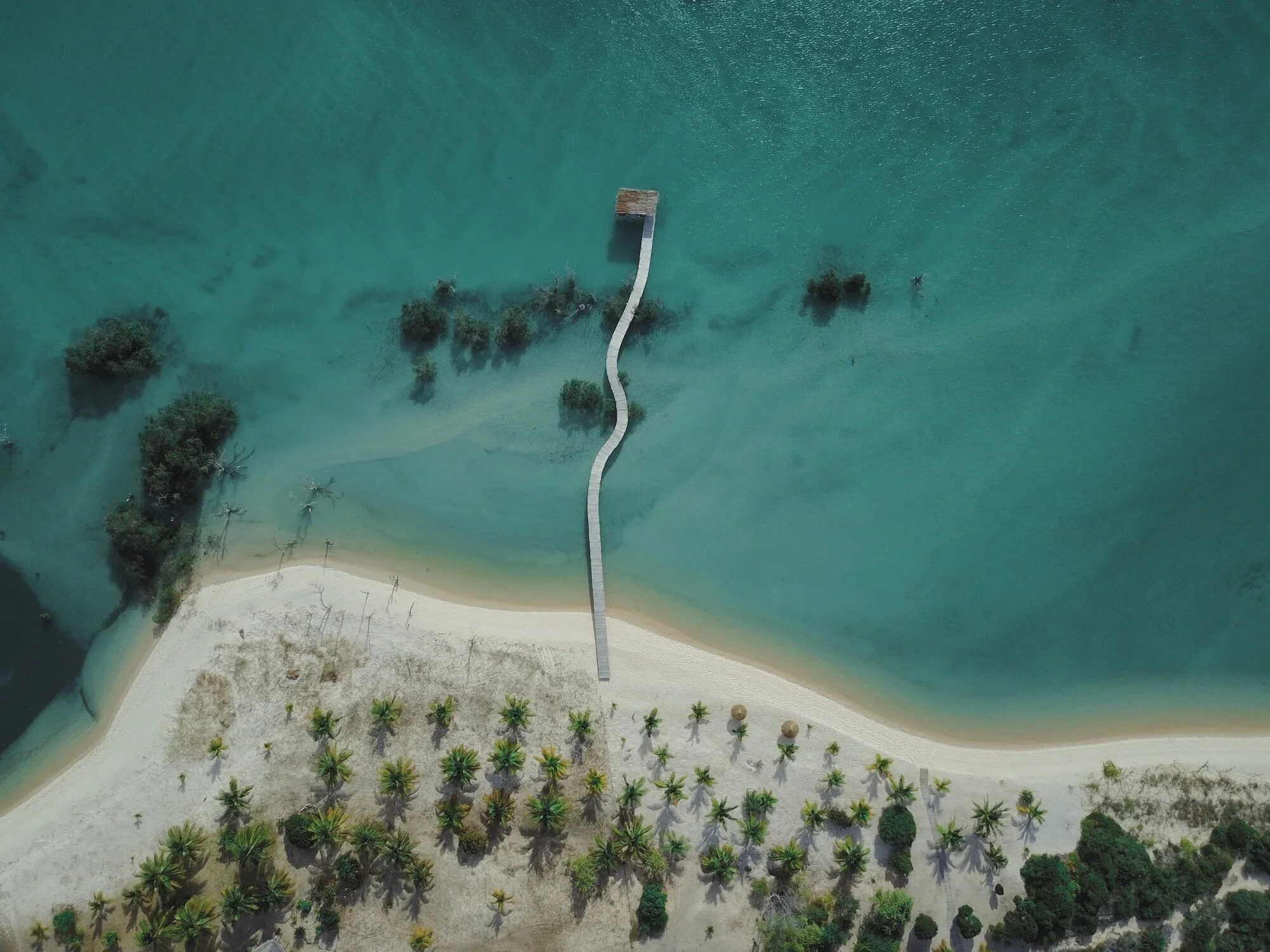 Aerial view of a beach with a curved wooden boardwalk extending into clear turquoise water, surrounded by trees and sandy shore.