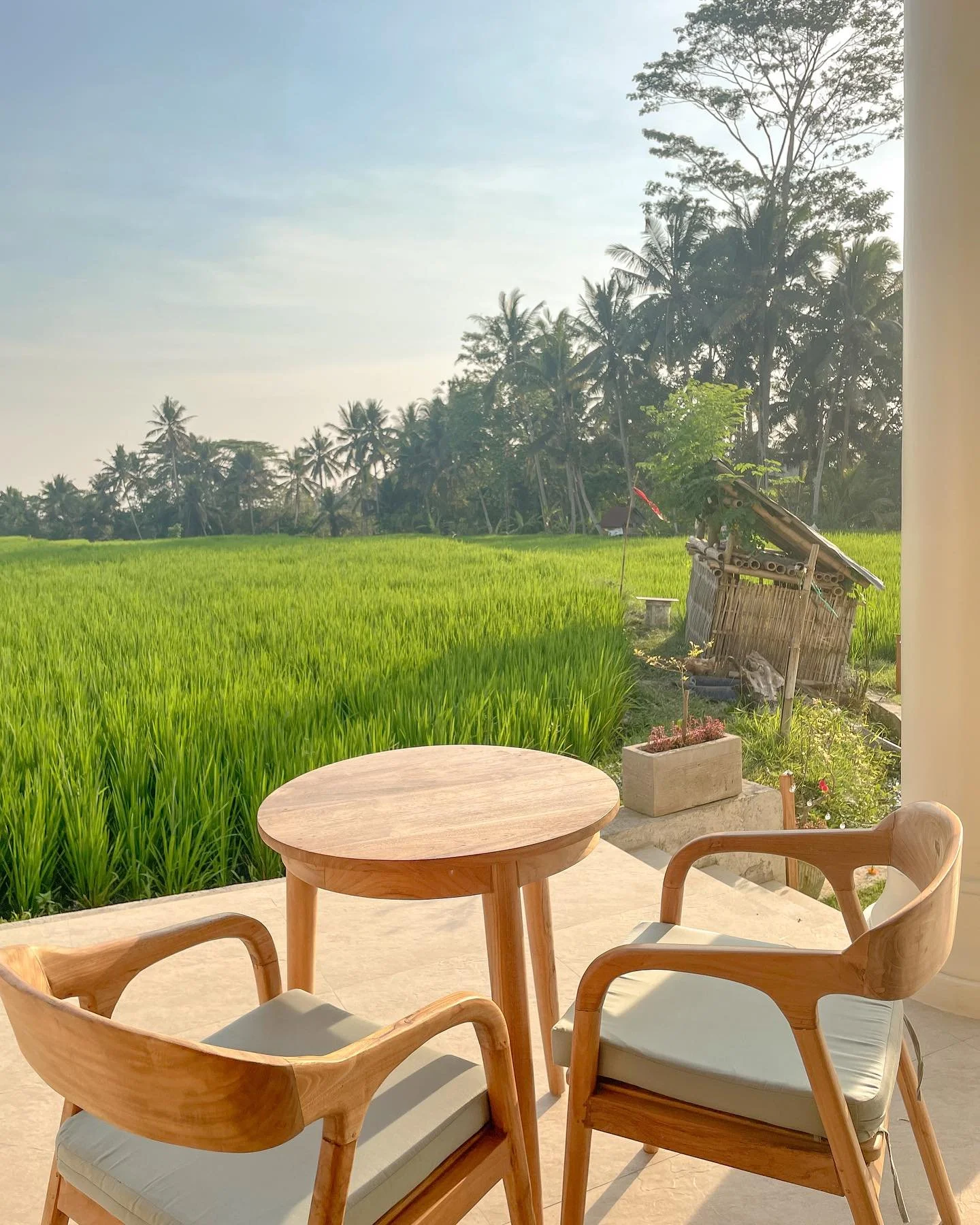 School of unified healing - bali - ubud - palomaz1.jpg