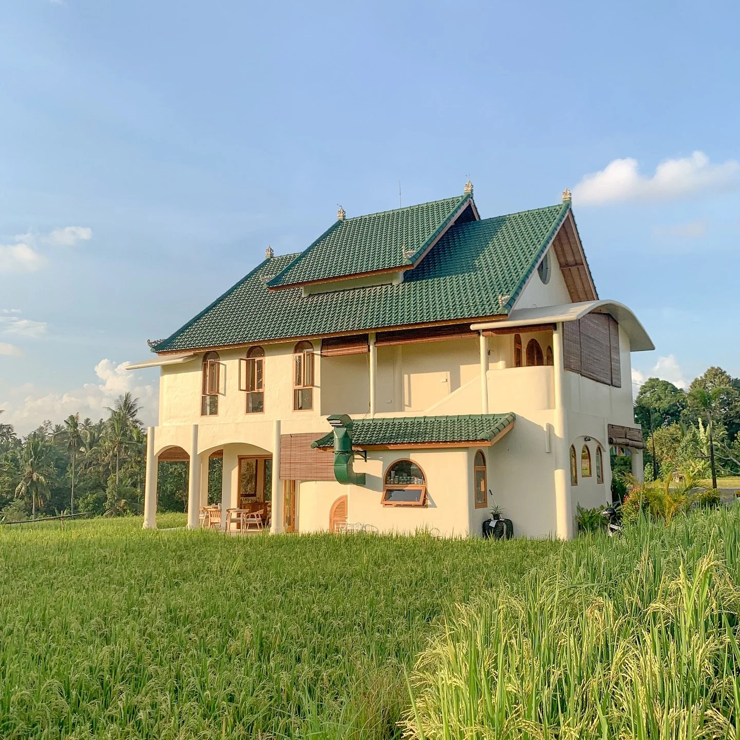 School of unified healing - bali - ubud - palomaz7.jpg
