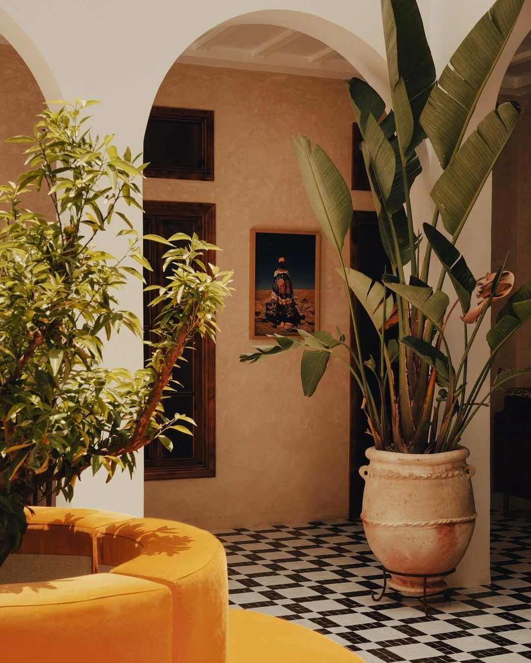Interior space with large potted plant, mustard-colored curved sofa, black and white checkered floor, framed artwork on the beige wall, and arched doorway.