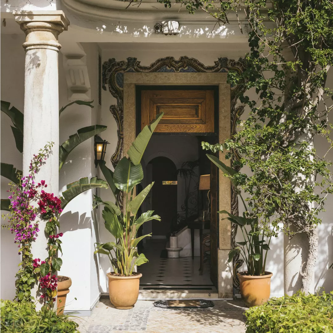 Entrance to a house with potted plants, a white wall, and a wooden door frame amidst greenery.