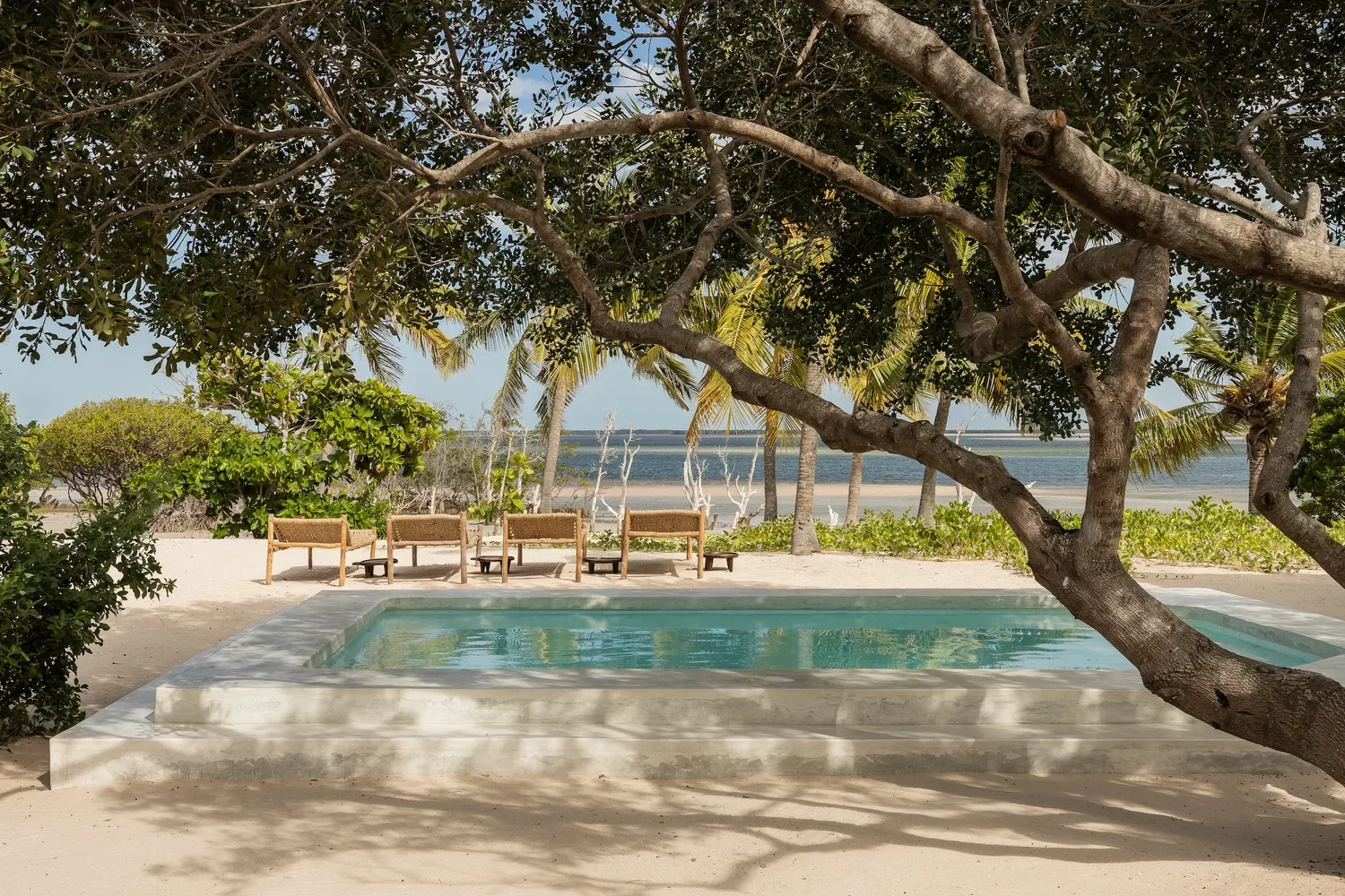 A beachside scene with a small rectangular pool surrounded by white sand, shaded by a large tree with broad branches. In the background, there are five wooden chairs arranged facing the water, along with palm trees and a calm body of water under a clear blue sky.