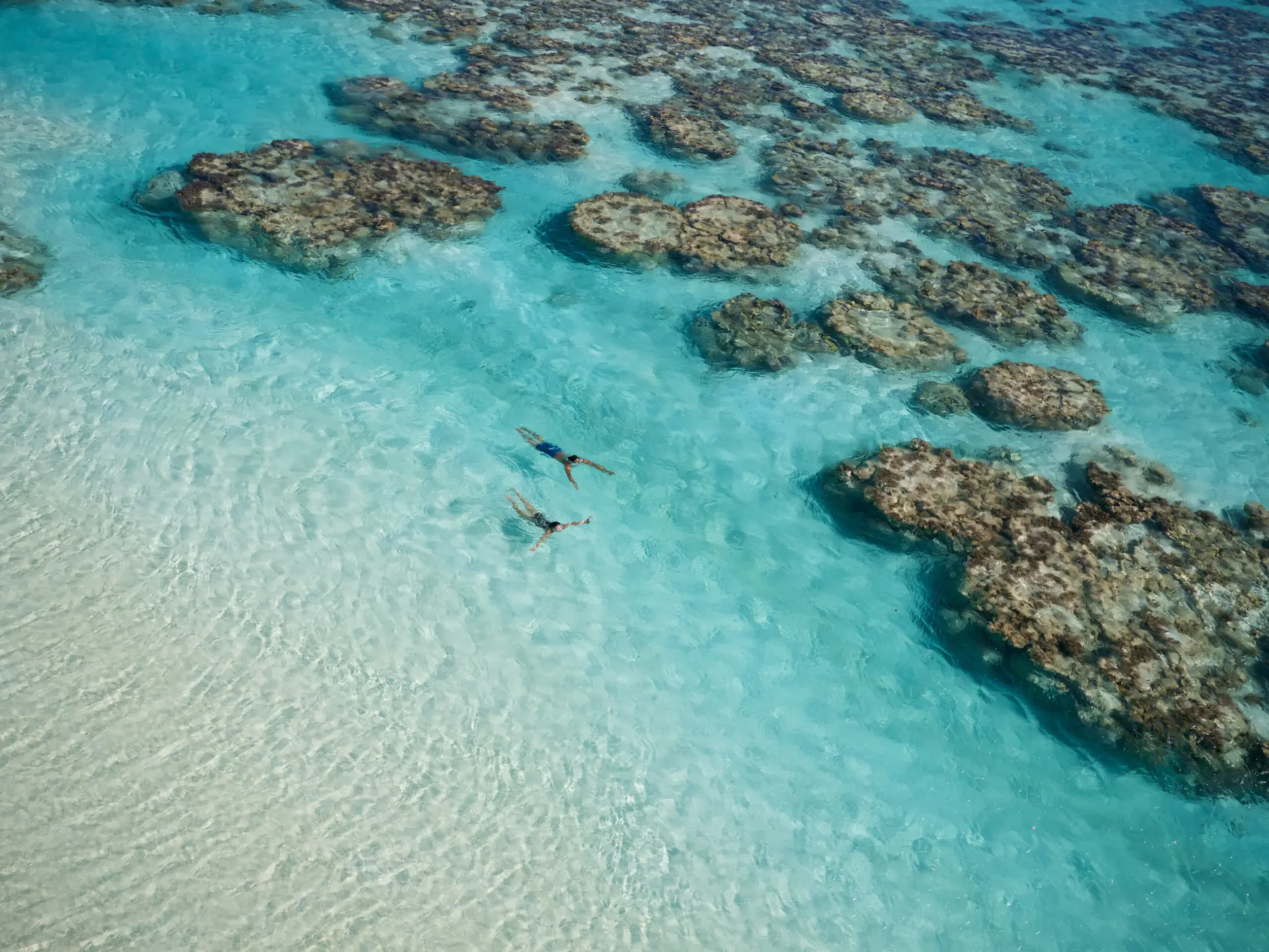 Aerial view of two people snorkeling in clear, light blue ocean water over rocks and coral.