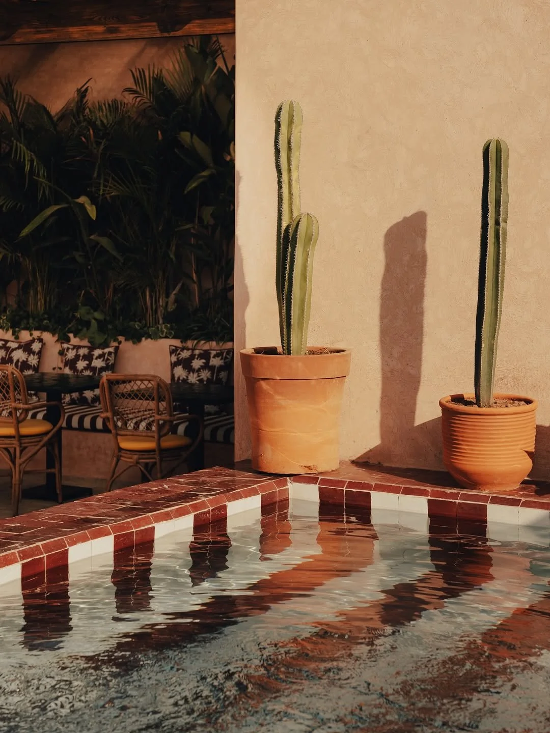 Two potted cacti on a tiled ledge beside a swimming pool, with outdoor seating and lush plants in the background.