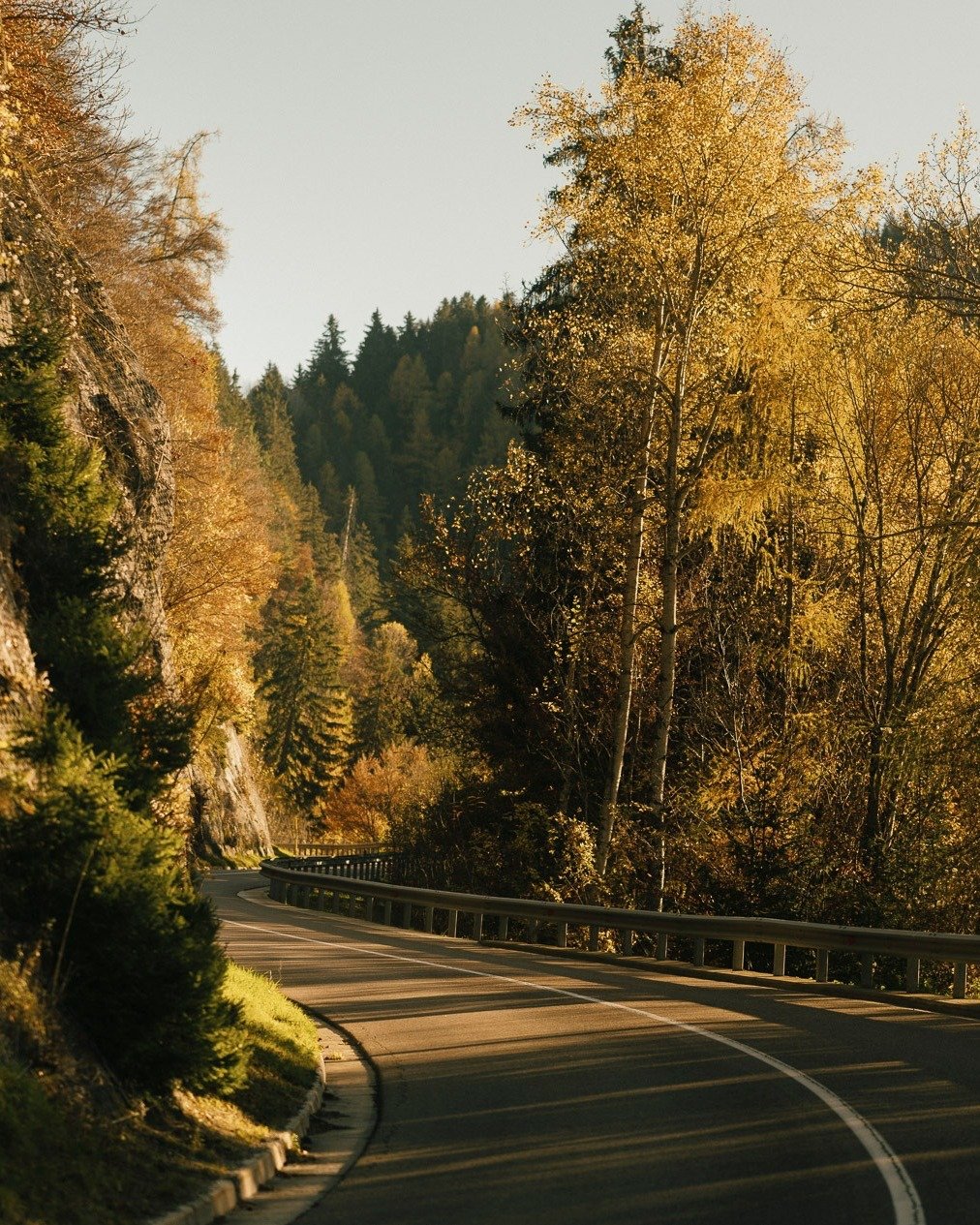 A winding mountain road lined with trees in fall, sunlight casting long shadows in a forest.