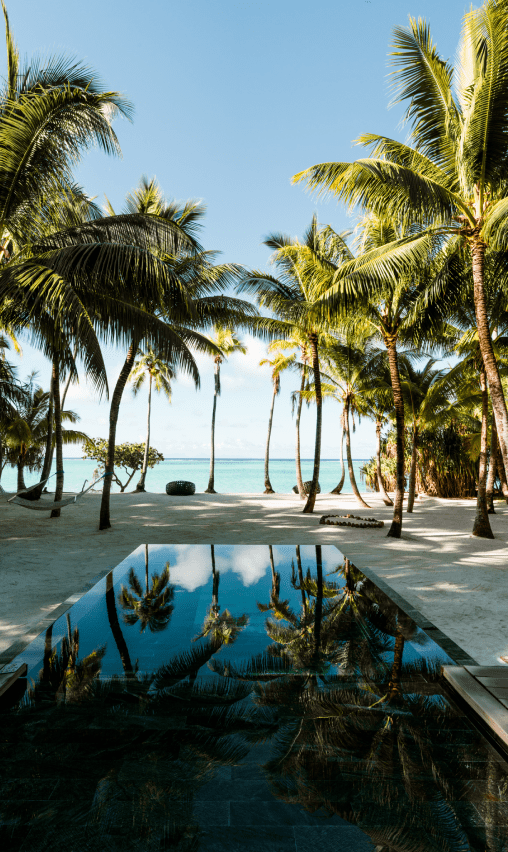 Tropical beach scene with palm trees, sandy shore, and a reflective pool of water.