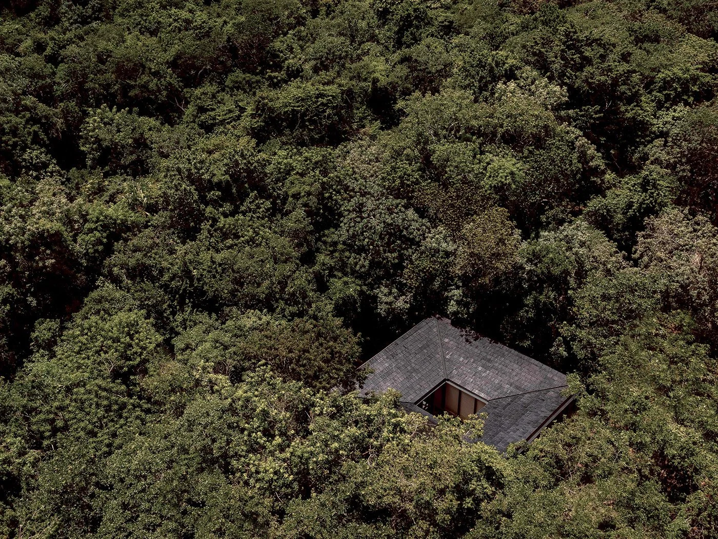A house with a dark tiled roof is surrounded by dense green trees.