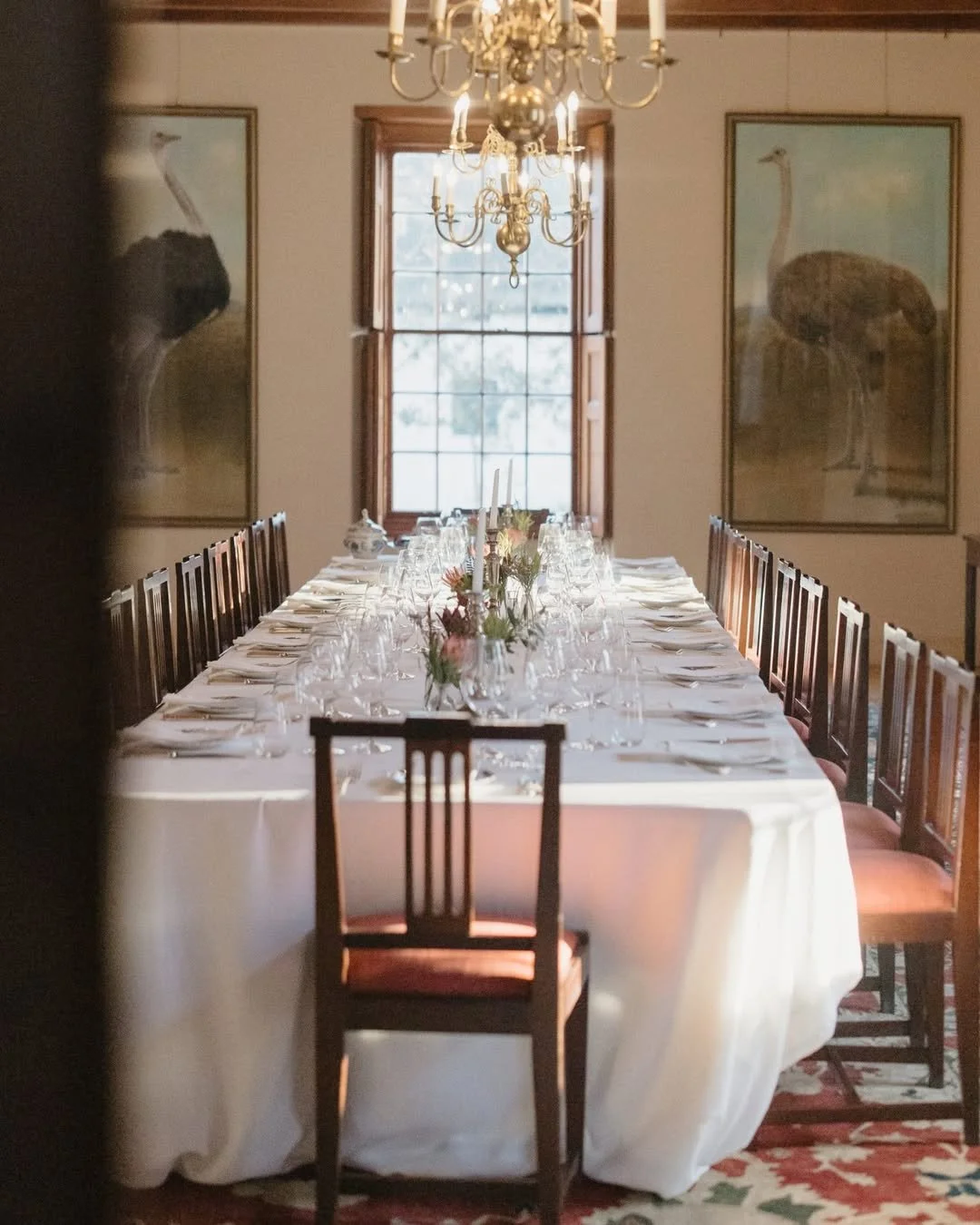 A long, formal dining table set for a meal with white tablecloth, wine glasses, candles, and floral centerpieces in a room with wooden framed windows, chandelier, and two large framed pictures of ostriches on the wall.
