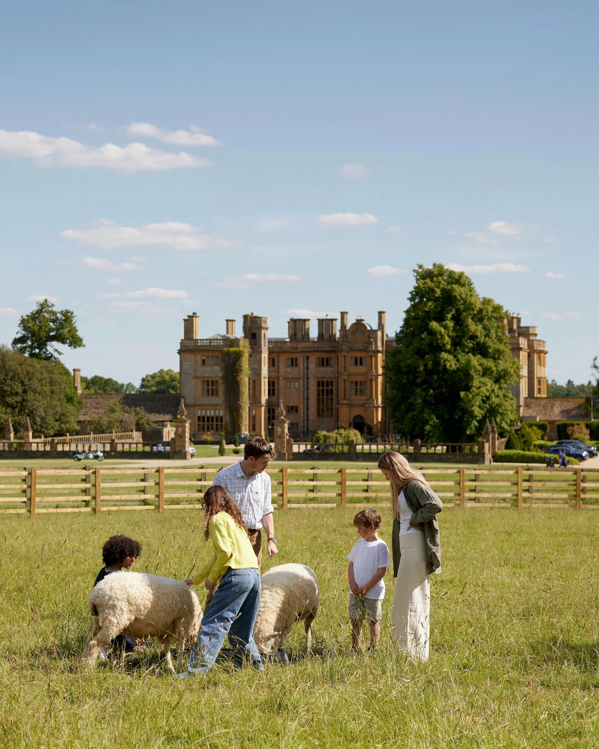 A group of children and adults standing in a grassy field with sheep, with a historic mansion and trees in the background under a blue sky with clouds.