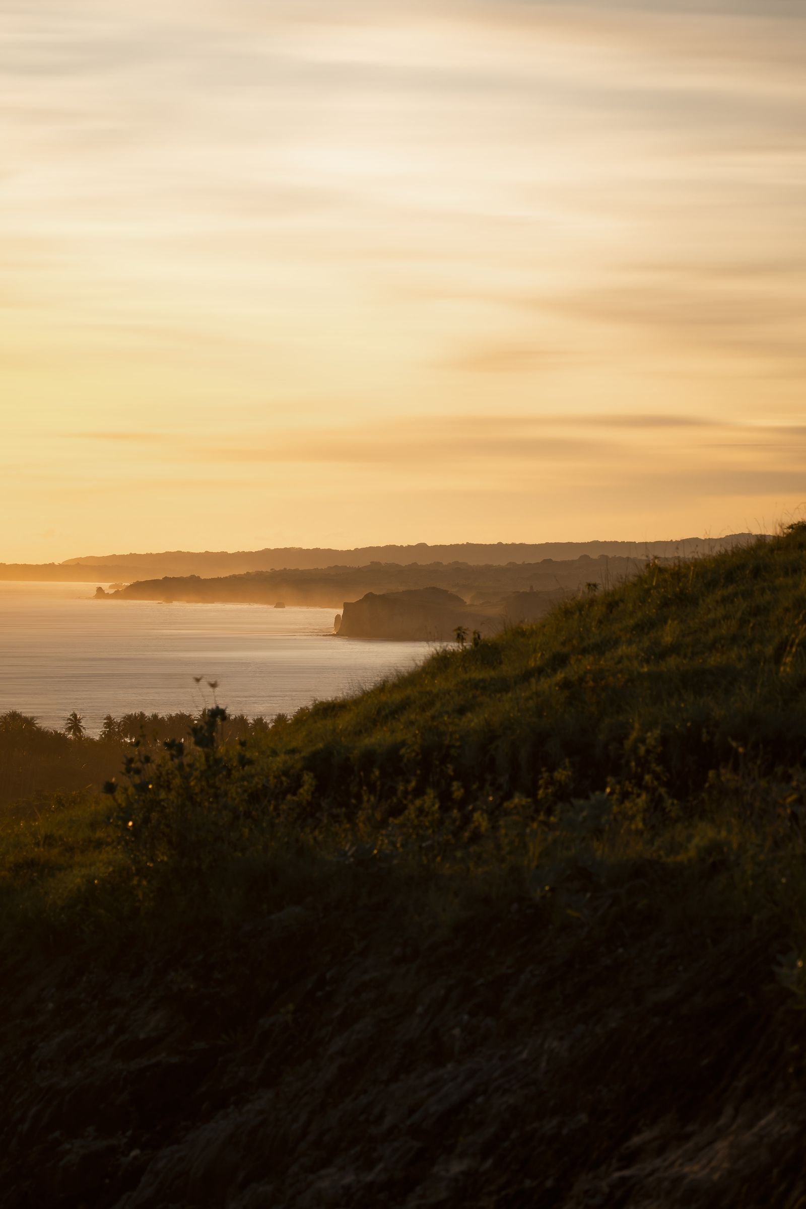 Sunset over a coastal landscape with cliffs and water, with a cloudy sky and some vegetation in the foreground.