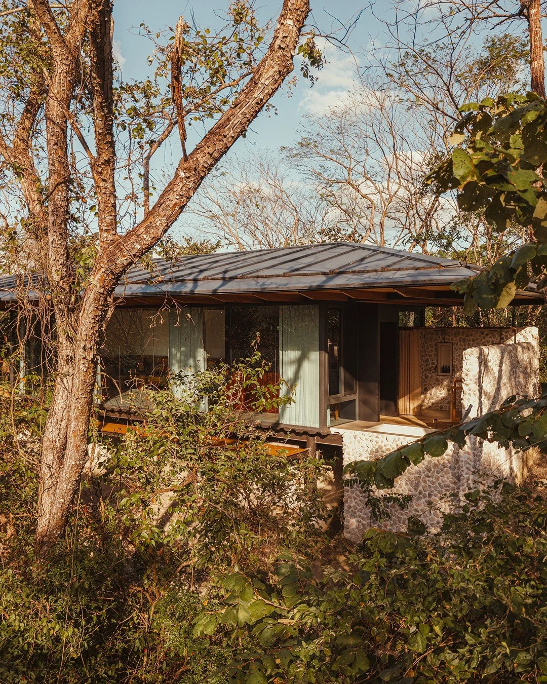 A modern house built into a hillside surrounded by trees and foliage, with large windows and a stone wall.