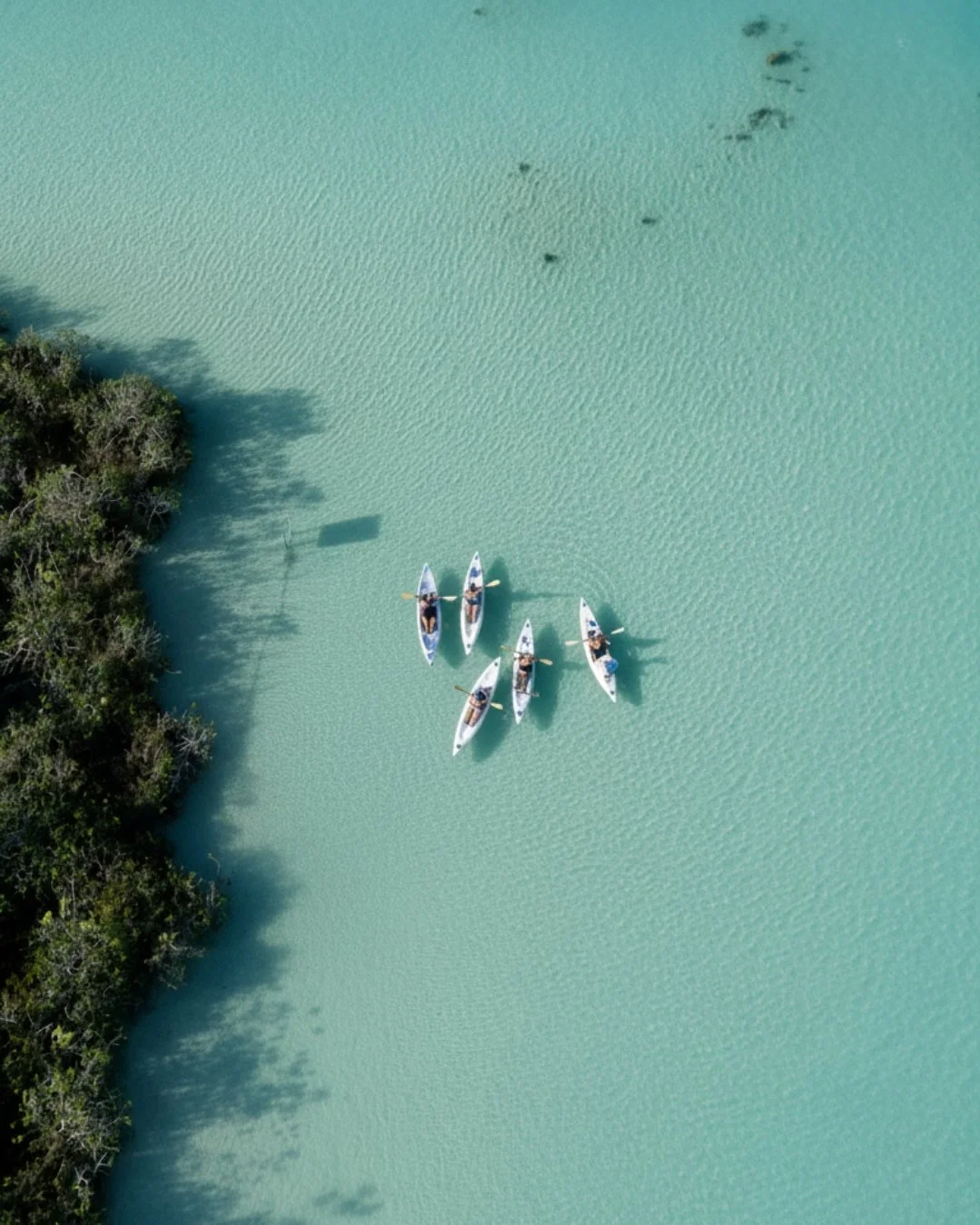 An aerial view of five people kayaking on a calm, turquoise water body next to a green, tree-lined shoreline.
