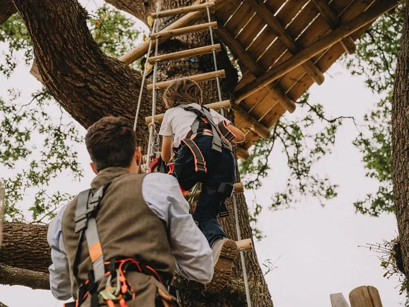 Two people climbing a wooden treehouse ladder in a tree