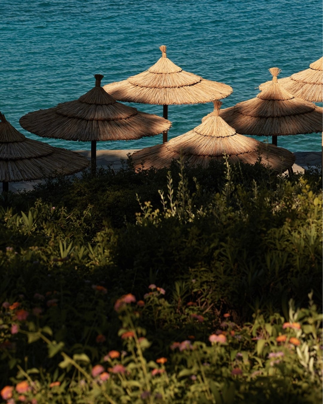 row of straw beach umbrellas over greenery near the sea with clear blue water in the background.