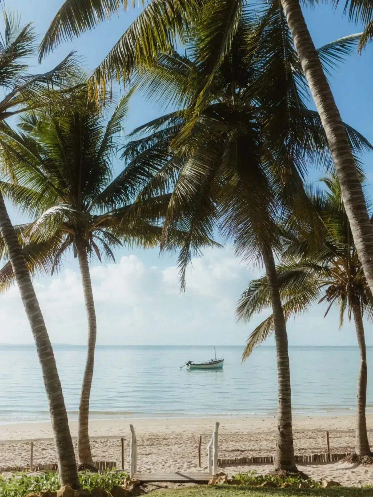Beach scene with tall palm trees, sandy shore, calm water with a boat, and a partly cloudy sky.